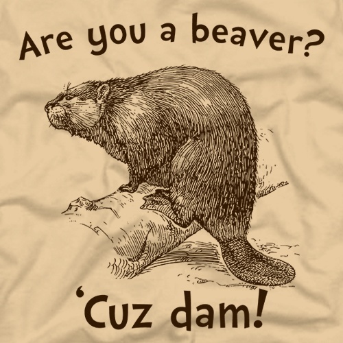 Are You A Beaver? 'Cuz Dam! shirt from Five Finger Tees - Daily Shirts