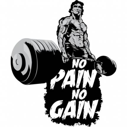 No Pain No Gain