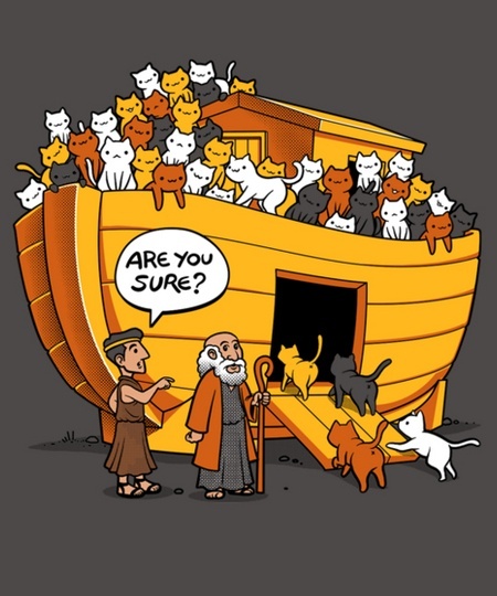 Noah's Cat Ark shirt from Qwertee - Daily Shirts